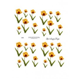 Yellow Tulips 444
